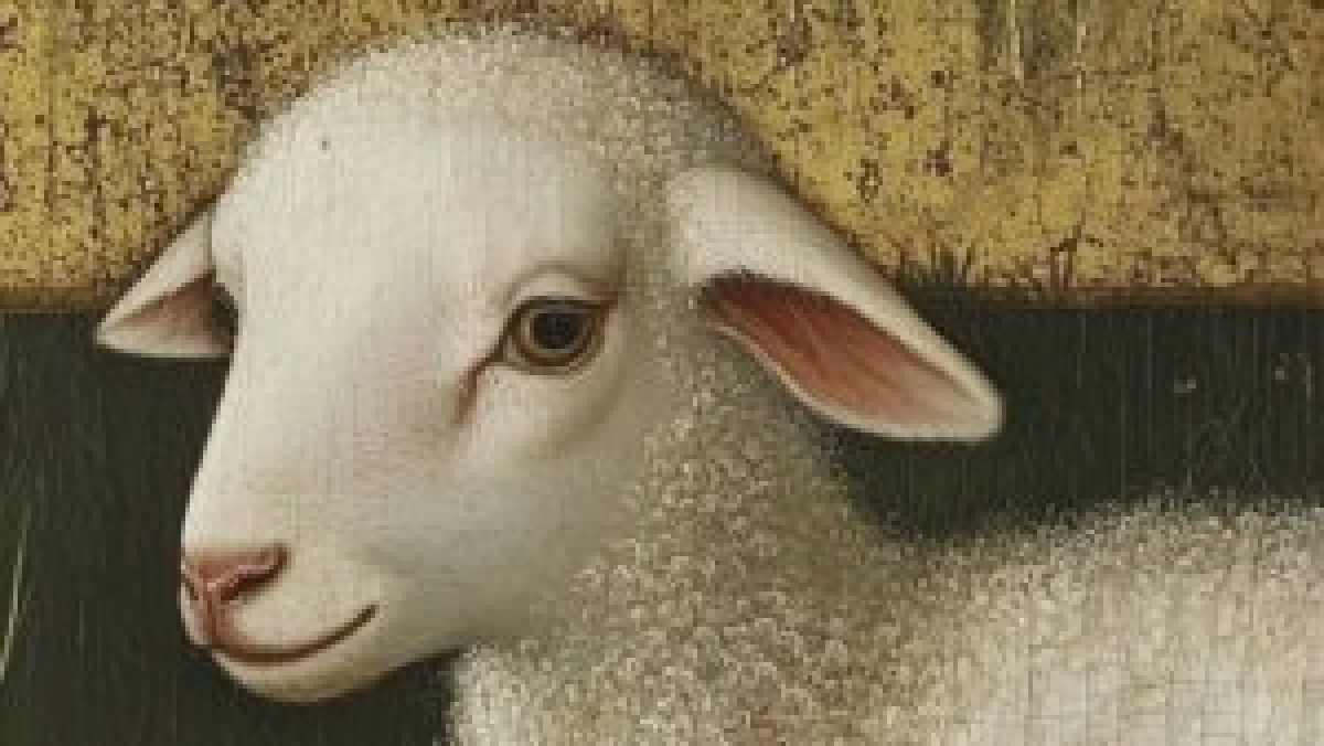 Noord Nederlands Orkest